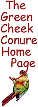 The Green Cheek Conure Homepage